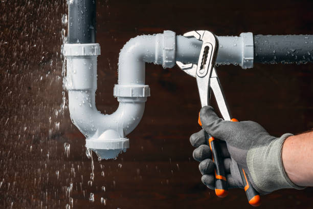 Professional Leak Detection technician working in Odessa, DE